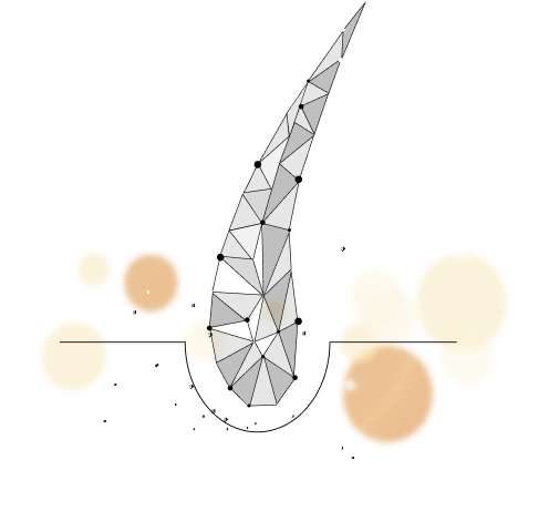 RootDesign™ proprietary hair restoration methodology